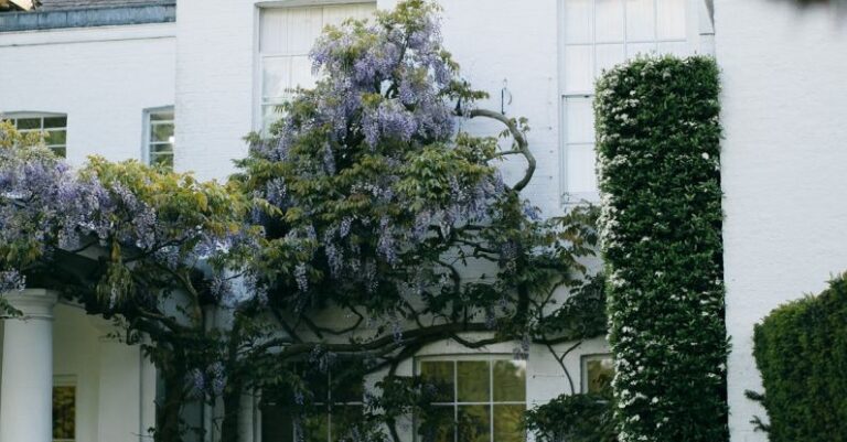 Real Estate Transactions - White Concrete House With Green Plants