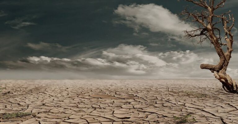 Climate Change - Photo of Brown Bare Tree on Brown Surface during Daytime